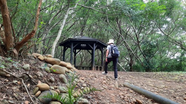 《台中》颱風前夕｜大肚環保公園登山步道(北段)202409292606718