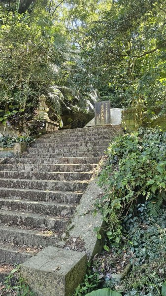 20251003高麗坑山-新高麗坑山-高麗坑山西北峰2903133