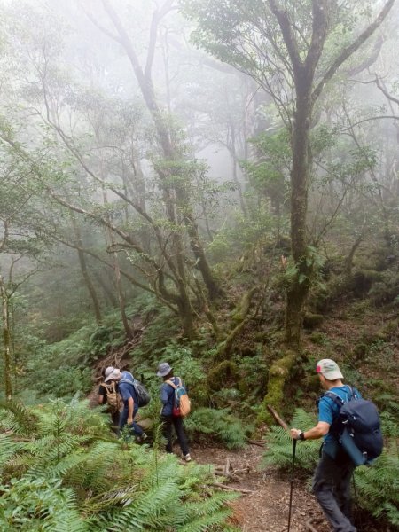 魔幻森林-塔曼山-202508102866577
