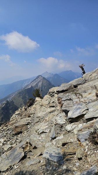 【閒閒南橫摘星去！】百岳#077關山嶺山。美麗壯闊中卻帶點淡淡哀愁的南橫公路。3036083