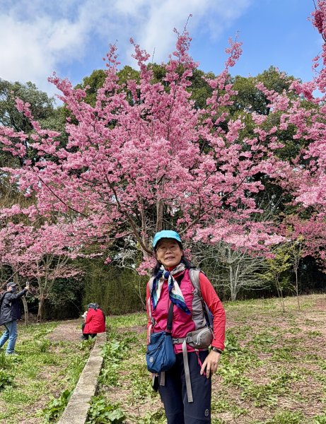 福壽山千櫻園2729945