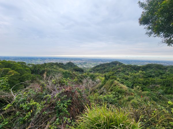 20250223田中大小劍與橫山2939832