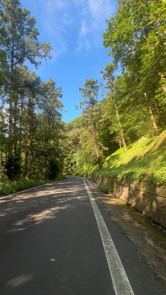 新竹橫山-大崎棟步道2619170