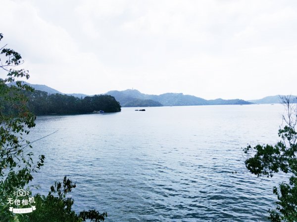 南投魚池~尋找自己生日的階梯。年梯步道1027941