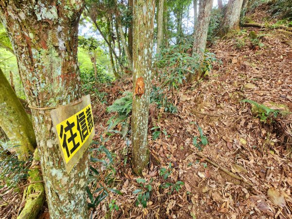 小百岳集起來-鳳凰山2183156