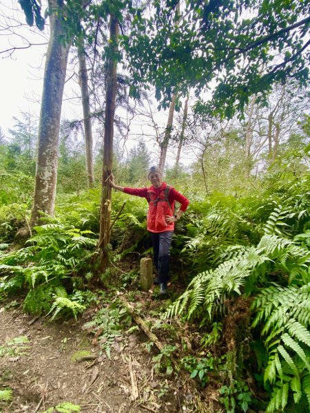 坐公車接駁的神仙縱走2707434