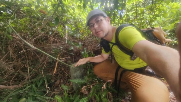 20251007冷水山西峰-三重橋山-挑硫古道-大油坑山前峰-大油坑山2907654
