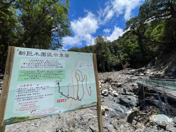 1140825司馬庫斯新巨木園區-司立富瀑布-部落觀景台2871215