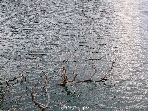 【新竹寶山】湖畔好風景。 寶山水庫環湖步道2377287