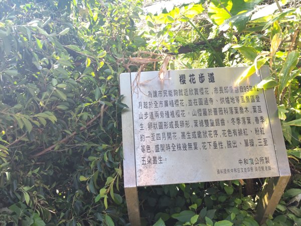 微笑山線：【天上山系】烘爐地土地公段：外南勢角山2963547