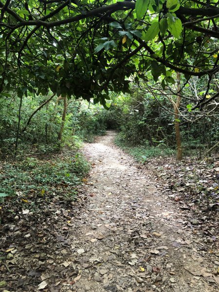 2020.10.01南壽山1119725