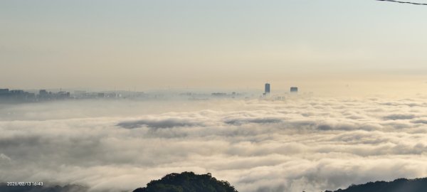 #觀音山 #雲海 #夕陽 #天空之城 #大赤鼯鼠（飛鼠） 2/132999437