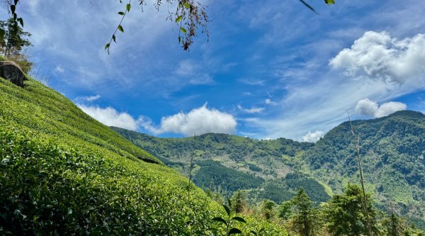 頂石槕步道群順訪樂野山2820865