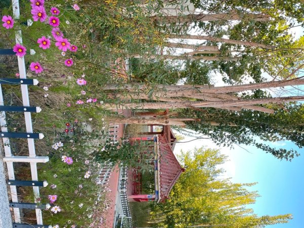 川藏318熱門的卡點-尼瑪-當惹擁措-大地之樹-雅丹地貌聖象天門2905828