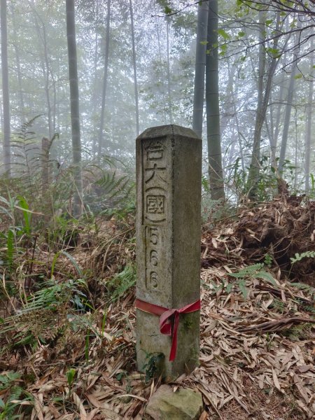 溪頭鳳凰山（米堤飯店香蕉園登山口）2070656