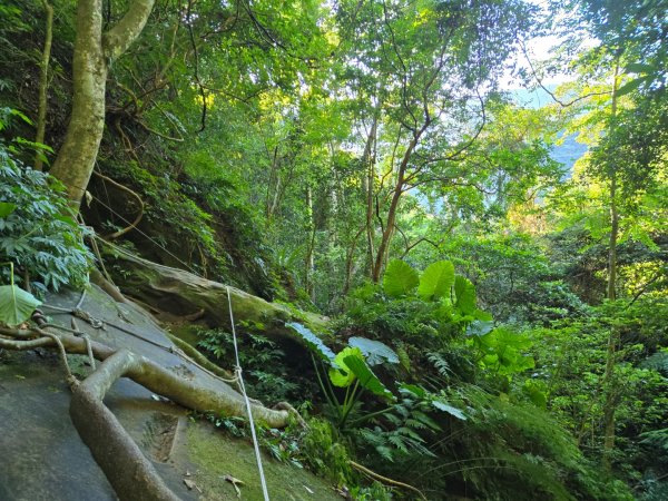 石牛山（小百岳）2909982