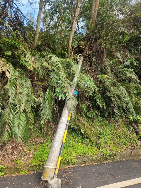 20250105隆盛山-煤渣山-雙溪口山主東峰-排寮尖-十八重溪山2683211