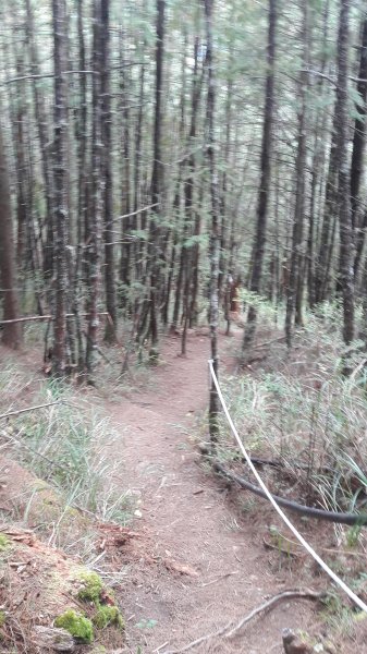 楓之谷~天巒池~武法奈尾山497563