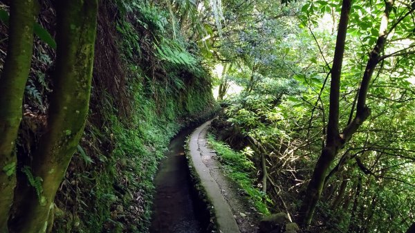 大崎頭梯田,坪頂古圳2208637