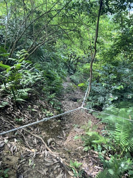 月扇湖大岩壁2952414