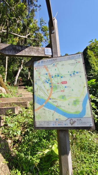 新店碧潭輕鬆走2991997