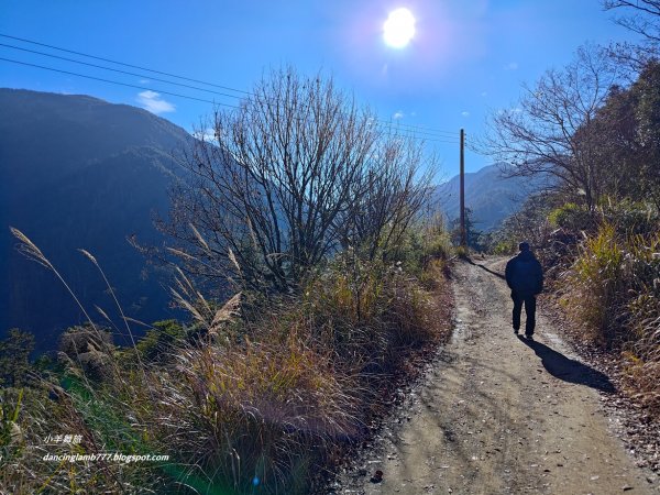 【南投】合歡溪步道：遠得要命的櫻花鉤吻鮭2912226