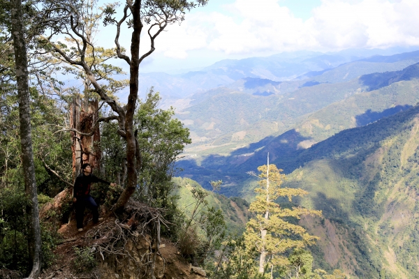 鳶嘴西稜：長壽山連走崠醜山257170