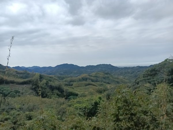枕頭山-枕頭山西峰2733956