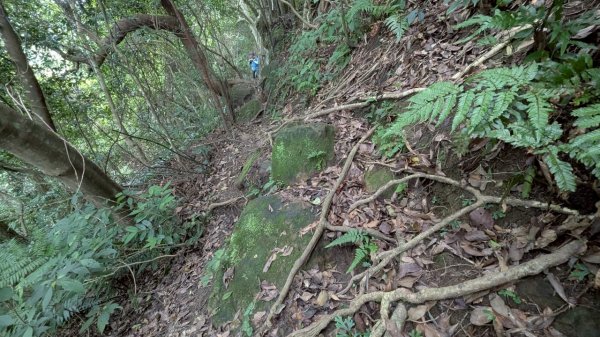 114.06.14雙石縱走&石門水庫-石牛山之旅2812293
