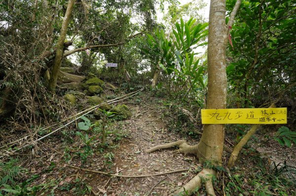 新竹 峨嵋 獅頭山、獅尾山、六寮山、猿山2450073