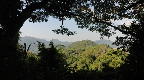 桃園溪洲山 ，熱鬧的小百岳1099793