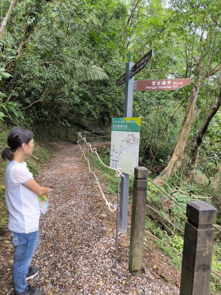 20250927微笑山線：【五分山系】望古瀑布段2896131