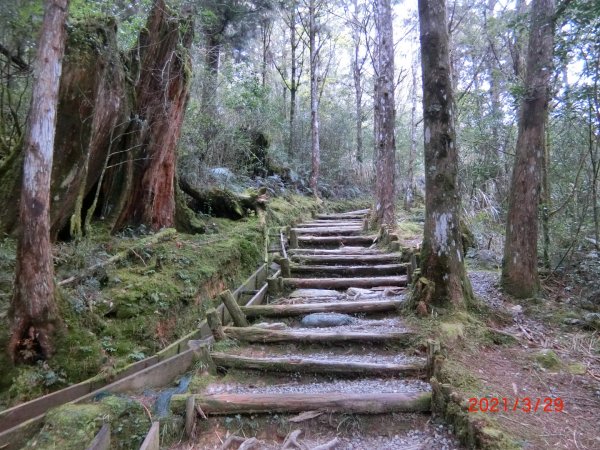 翠峰湖環山步道1557899