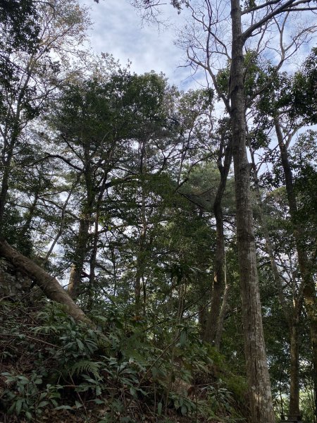 馬崙山11202103059266