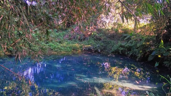 2018 12/2 拉索埃湧泉879501