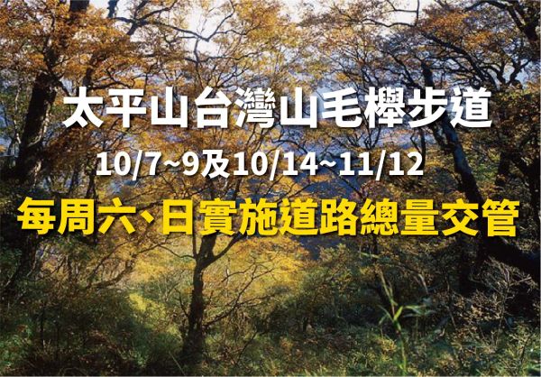 【新聞】太平山台灣山毛櫸步道10月7日~9日及10月14日~11月12日每周六、日實施道路總量交管