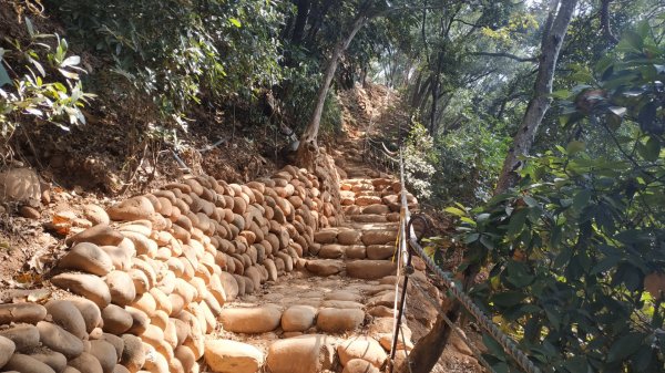 苗栗火炎山737394