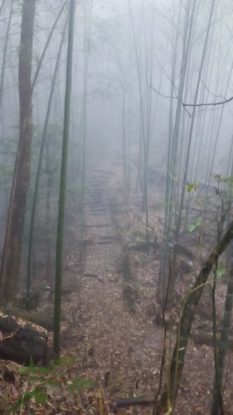 鳳凰南嶺線步道(溪頭至杉林溪縱走)2150728