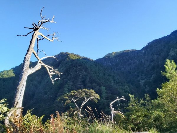 阿興阿賢合歡溪步道上合歡西峰1491093