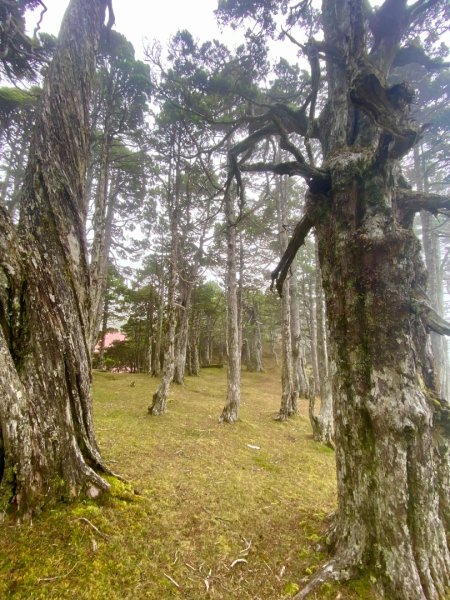 啟動高山度假模式~金牌三小隊之馬博橫斷8日2964962