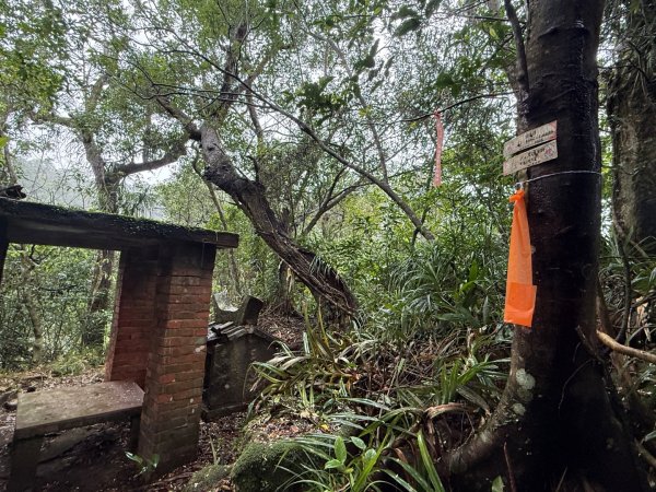 三林一后一紙及武山煤礦文化遺址8字行2991136