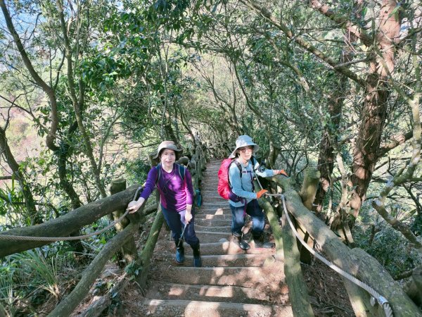 1110116 大坑四，五，三之一號步道O型一圈1584049