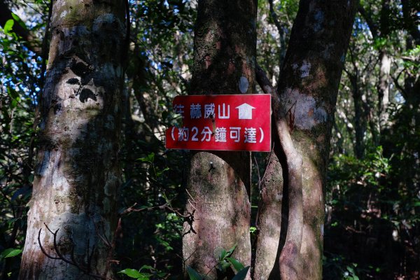 桃園復興區 處暑‧北插天山岩戶線2868406