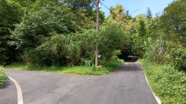 萬里區石門嶺古道(保甲路)-溪畔小徑-雙溪溝古道3087316