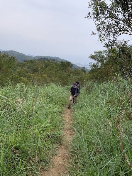 鵲子山（宜蘭礁溪）（小百岳）2530127