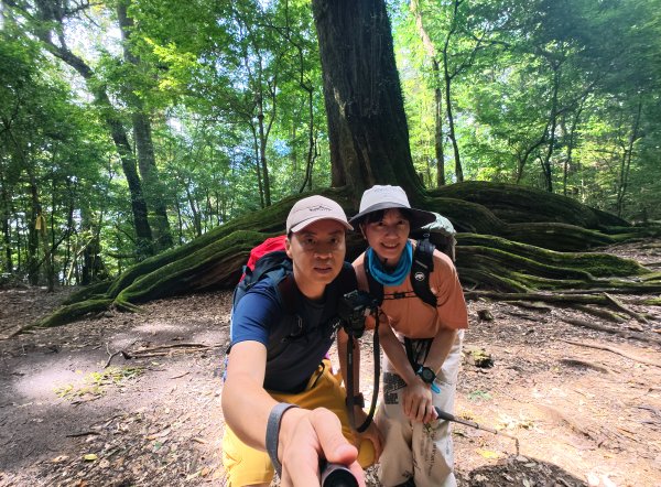 雪見大板根2924671