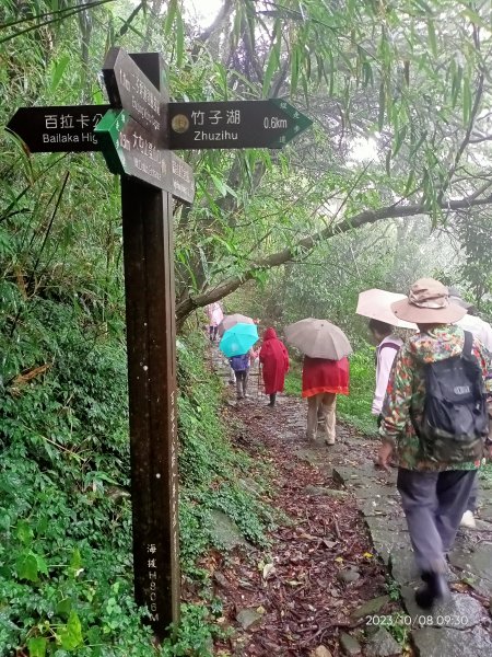 百拉卡公路人車分道、環七星山人車分道百拉卡公路入口站至冷水坑段、大港墘公園【走遍陽明山、健康大穀東】2307516