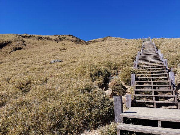 合歡山東峰1297555