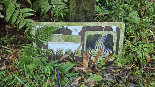 20251124綠峰山莊到天籟-大孔尾步道-南勢湖步道2944101