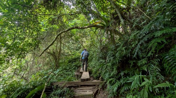 114.08.09溪洲山-新溪洲山之旅2856790